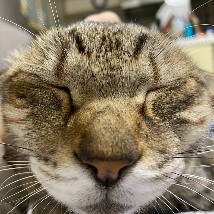 99cae8b0 aeca 486c 8e25 37613a3e5cee 1592964708912