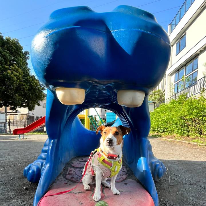 99cb5986 a8d3 406e a650 1b3576f2c2d0 1716006200784