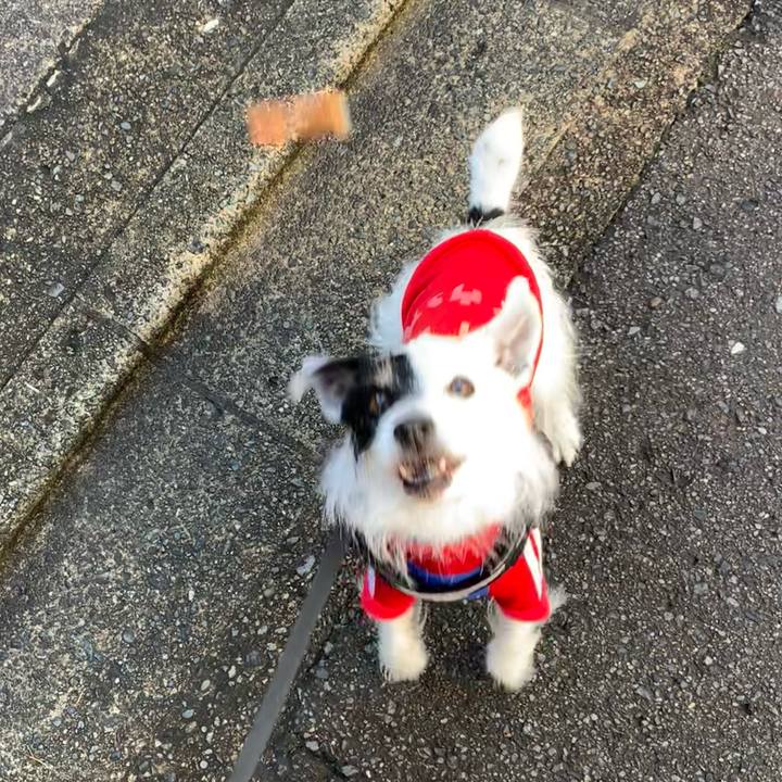 99cb60ed a51f 4071 858f 4a5551ba915a 1708389081697