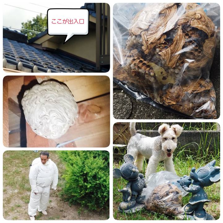 99cb7692 0402 4ba3 b942 737b0f204432 1565587307860