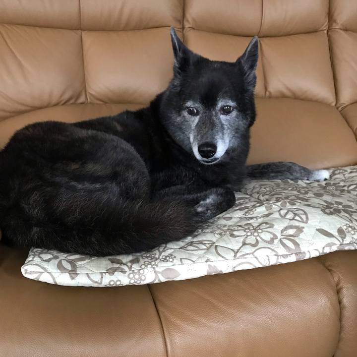 99cb79ea eb2a 4964 9f2f 94f3441fdfbe 1657278767005