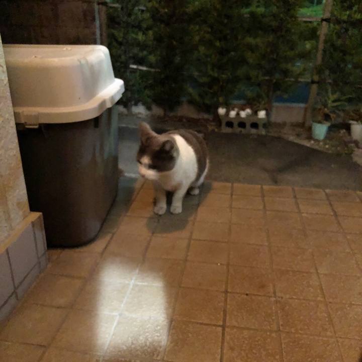 99cba8b7 3686 43ef 8e4e 81f3441cbbe9 1614251757229