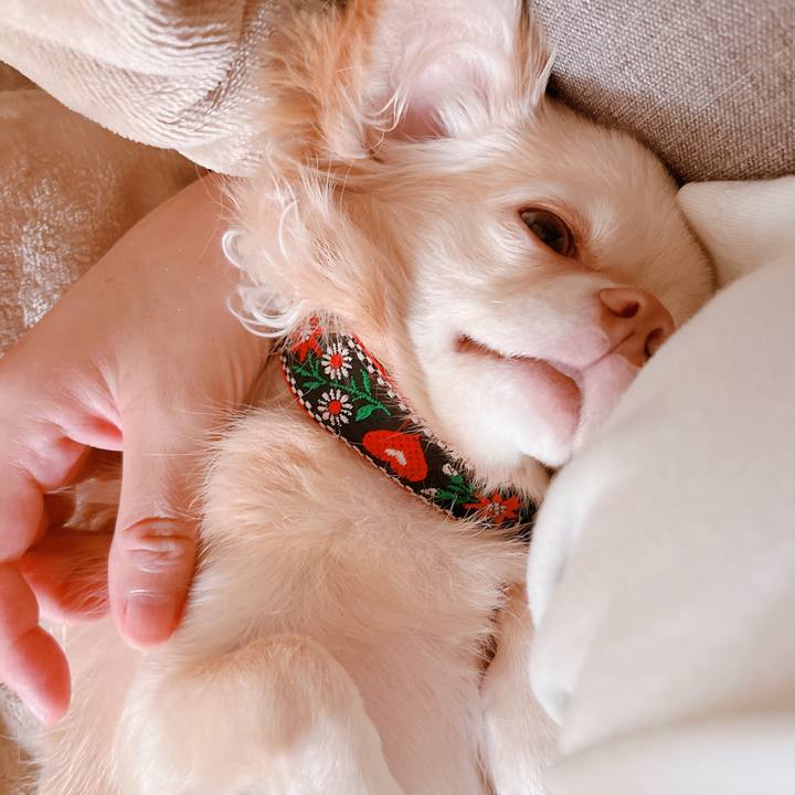 99cbcc6c fbef 4293 9438 e1011ef2842f 1661045130307