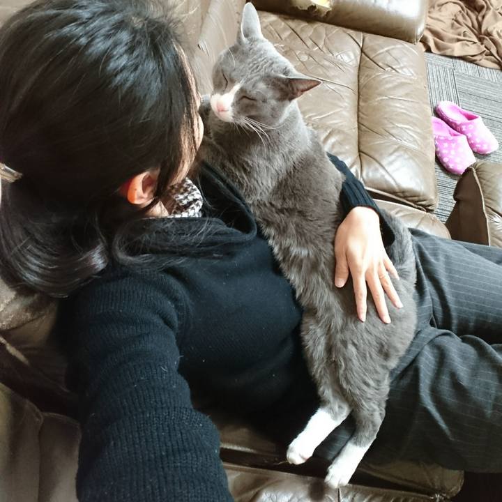 99cbfd0d 0062 403a 922a 114c2993d724 1516077946450