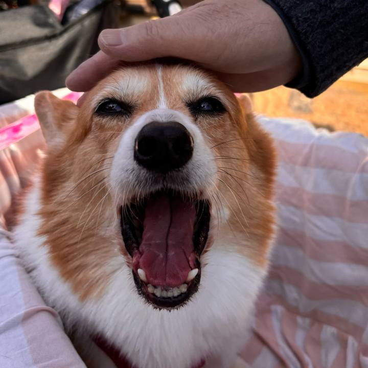 99cc268e 6158 48bf b935 1f679d07bee6 1731986823349