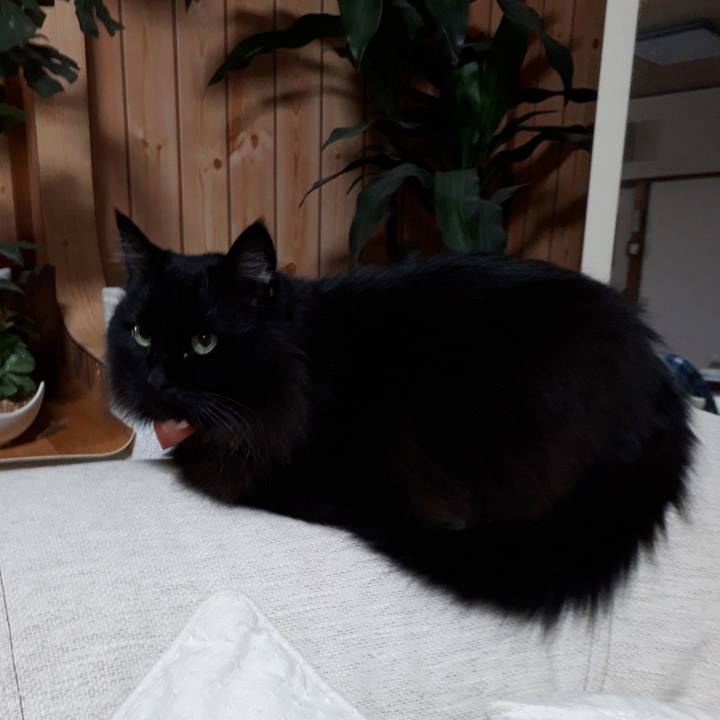 99cc4809 e056 4e06 ad0d a8e6ff273fdc 1520542233949