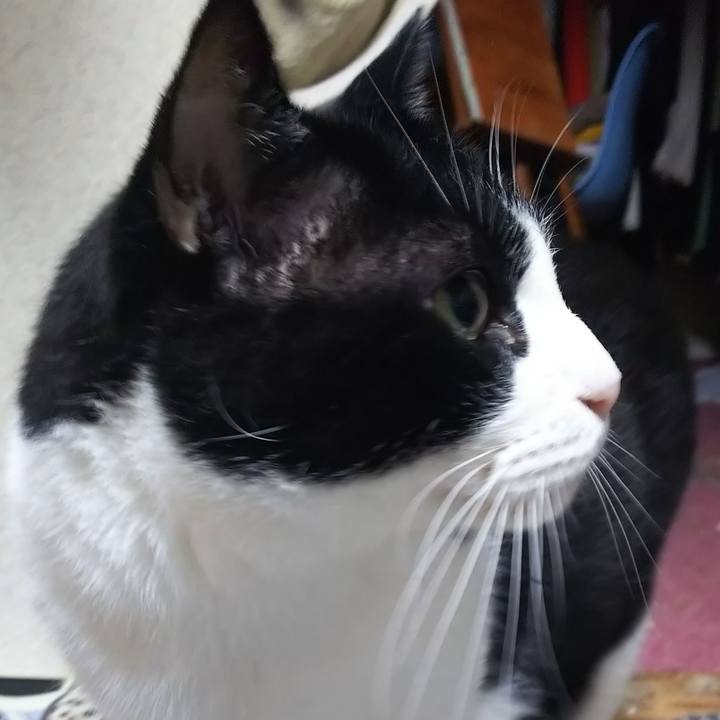 99cc6fcb db36 40f0 bda3 e11ba6873a7a 1571176477868