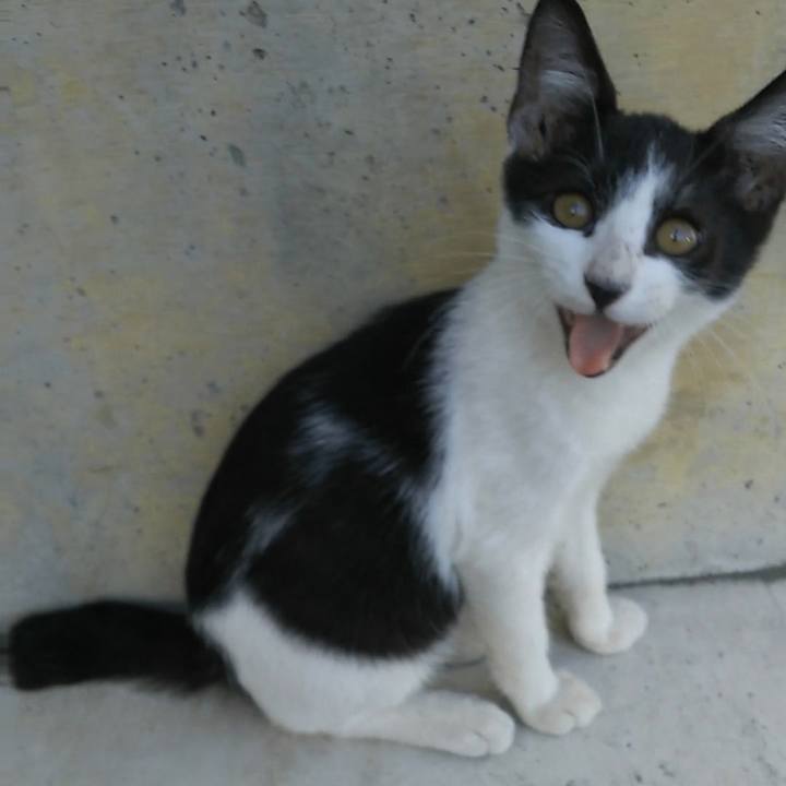 99ccea14 5ea0 4f2c 96f4 088222bd65fe 1532506849892