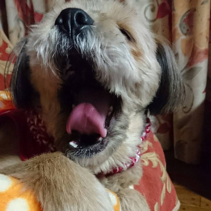 99cd43be 4d09 4a62 89b3 a69ea74f7b66 1517579707232