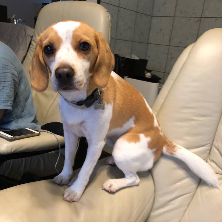 99cd68ad 2de8 451d a4a0 a4bd6257abde 1598034358346