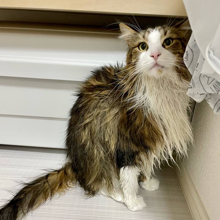 99cd86e9 df71 4d8a 81d3 cb0d157309ea 1678357326901