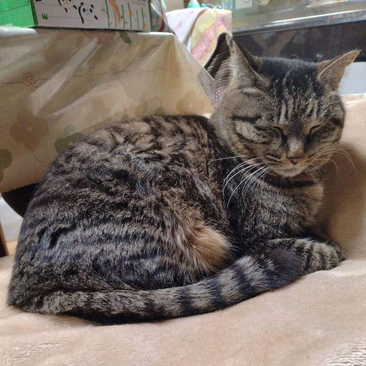 99ce39a3 29d6 4048 98cb d8599260f047 1709210157829