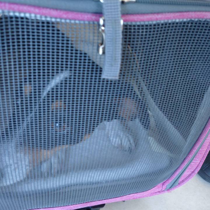 99ce6982 ac72 4df1 9cdf 94ac71431bc0 1581943654573