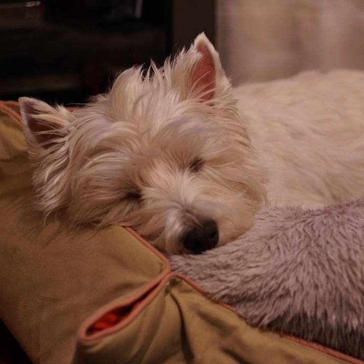 99ce8112 109b 4089 9b07 7c23b54c9e20 1514418443495