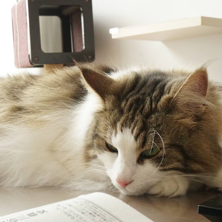 99ceb2e8 1334 4a92 9f12 0e76b86d1a82 1562657790363