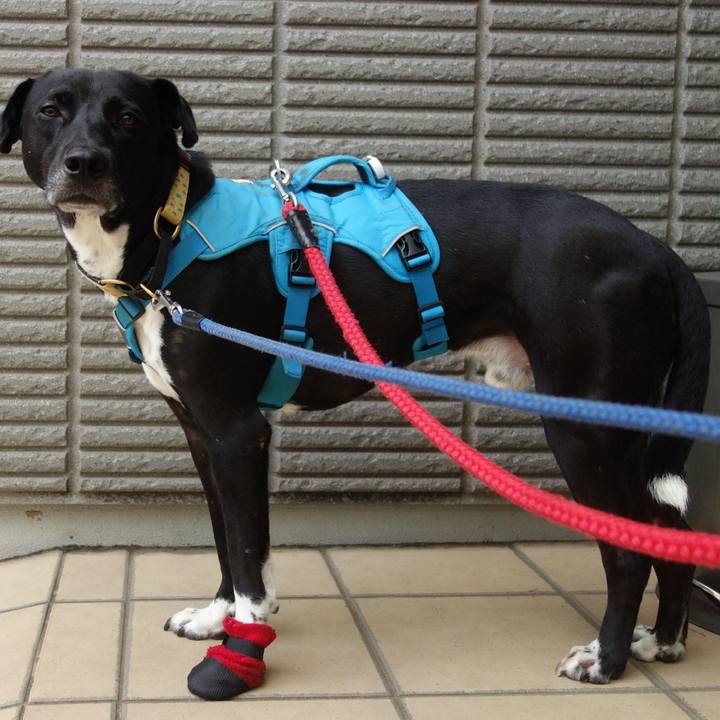 99cec6bb 9788 4552 810e 2f01334d6206 1624615198672