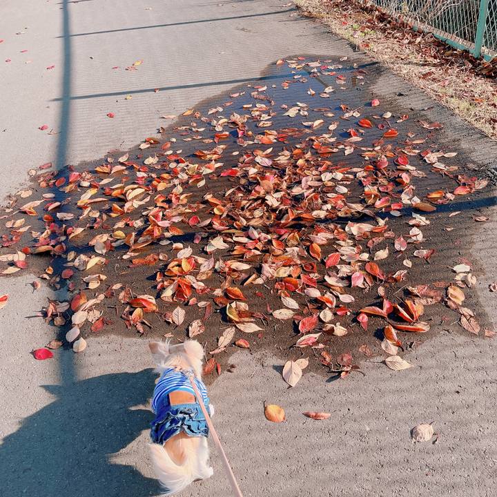 99cf22ba 3215 4b77 8d96 bc22457f2f79 1668577139403