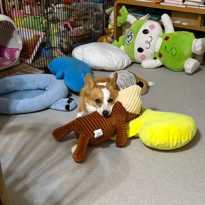 99cf564b acb6 46d6 aa34 75c3d09cf50d 1767028923334