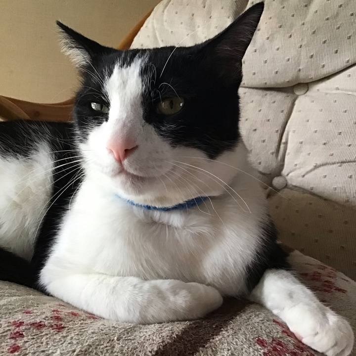 99cf5d5d bf87 4dc2 86ae cb0678da9acd 1714373450543