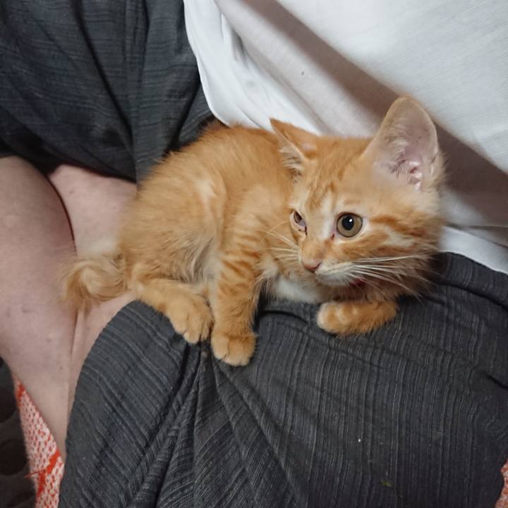 99cfb848 334e 42ca aa80 24c5073b67d1 1628719214430