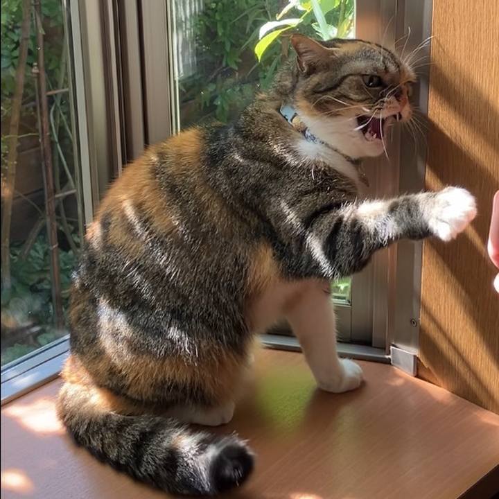 99cfc5df 1114 438b abf3 3697de326544 1758594262156