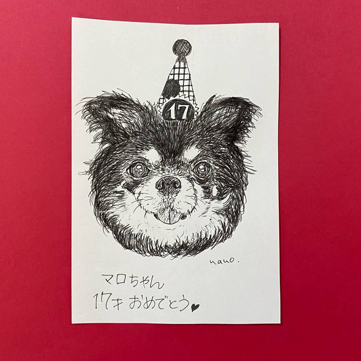 99d00635 04d0 459f 9616 880aef311ca7 1634887481270