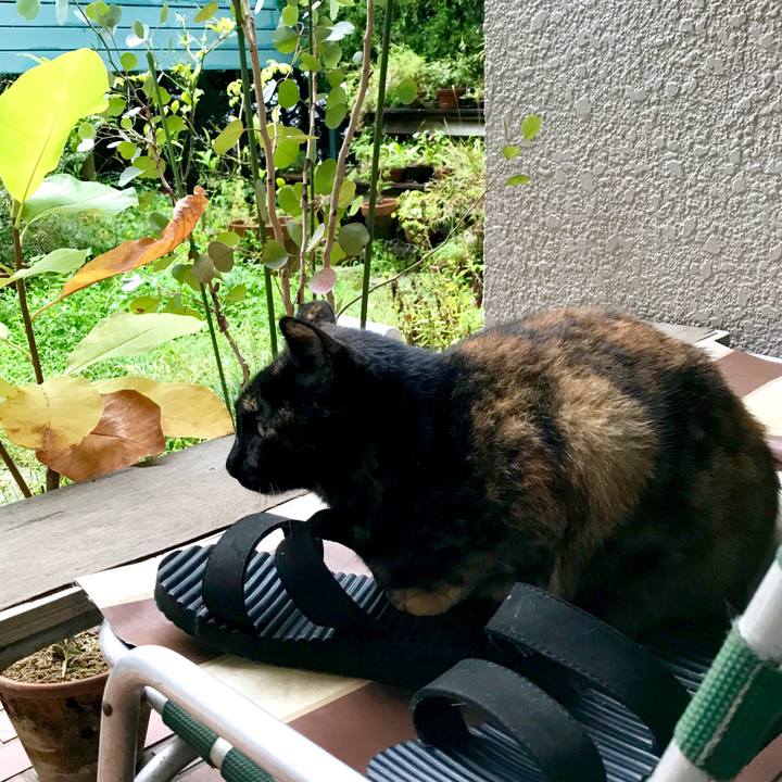 99d06bd0 e760 4514 8770 3f720997ee95 1538528710814