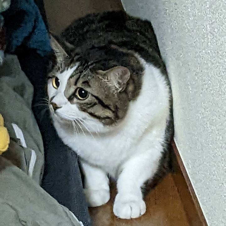 99d06e7e 3e0c 422e 8ab1 18698f8f18f7 1669729614380