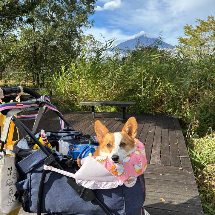 99d0d1e5 5449 4599 9f9c 13d8fc4d19f3 1760230974949