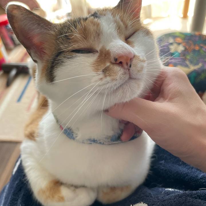 99d0d4b9 874d 4dde 8f93 04377d3f1777 1721455437293