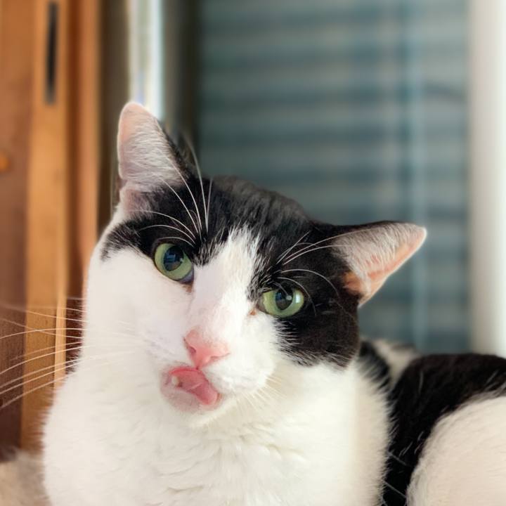 99d0f239 3fe7 4aa4 bdd3 32960b5dce67 1601341865588