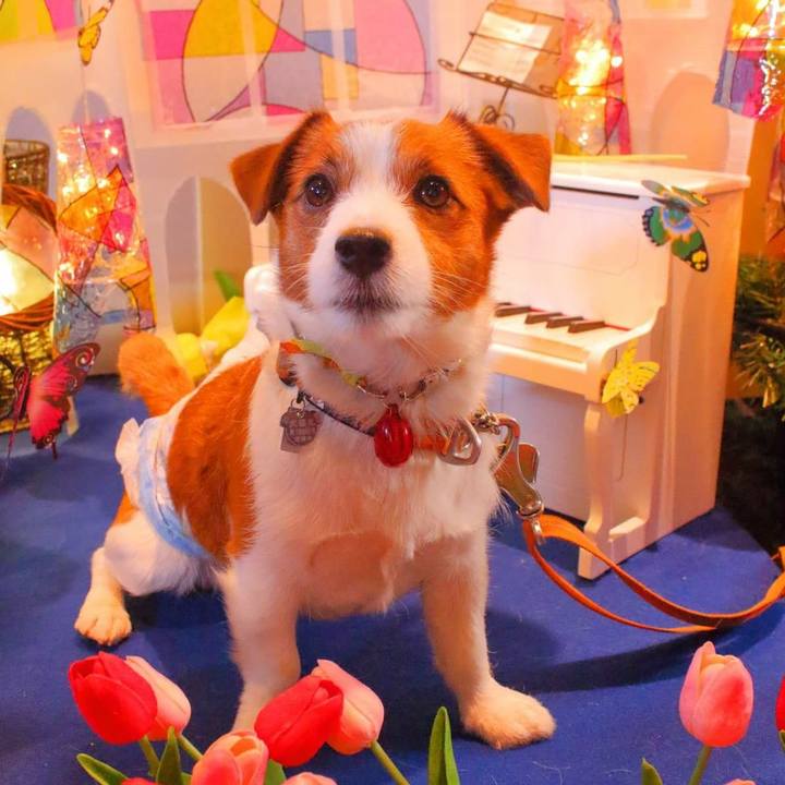 99d10151 64fd 471a af59 dbe15347f94f 1521180572728