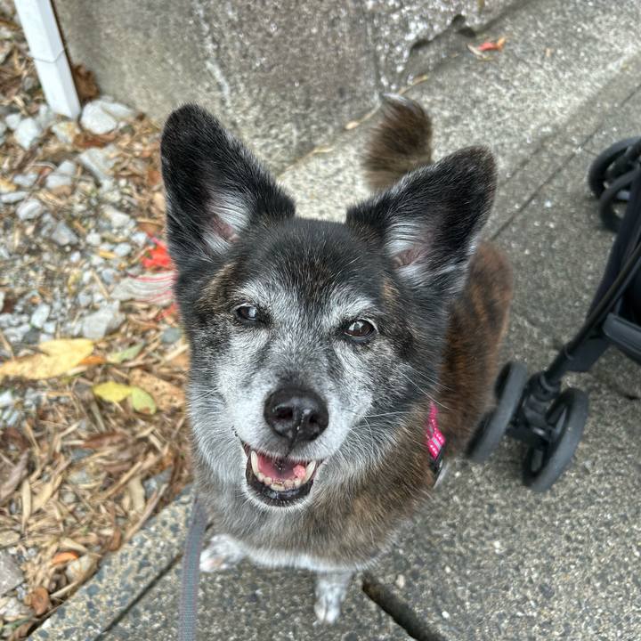 99d14a79 9ba0 44a1 9e2a 70f578fa2535 1728739916946