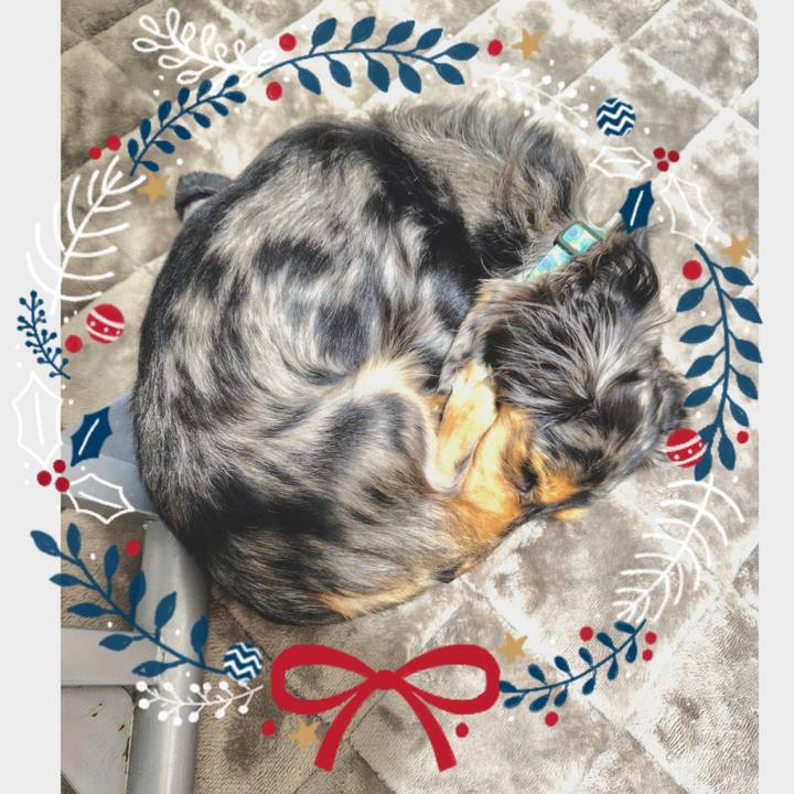 99d14ae8 ea5c 44a7 8863 76ccd5fb1708 1735213257434