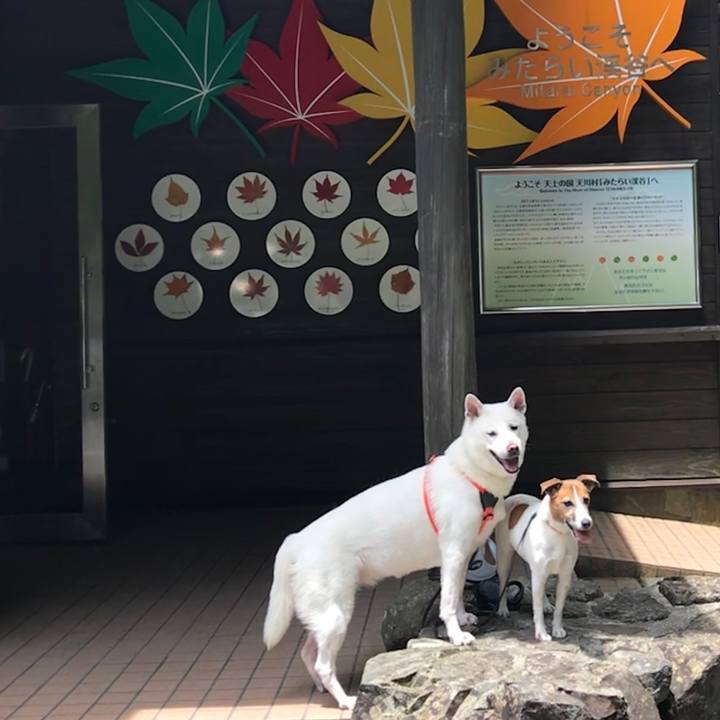 99d1825c 52b7 4799 8059 32554ac3983c 1528025484631