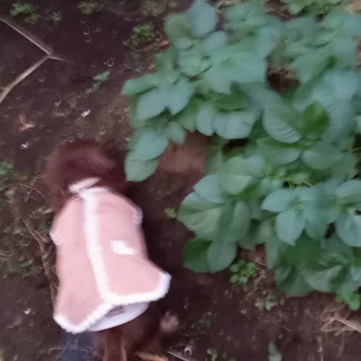 99d19d72 99f2 4807 86f1 fc693963aa34 1765230930382