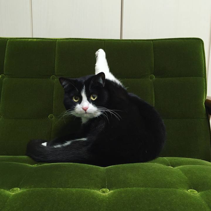 99d1d472 58bb 4269 a333 37d155aa4774 1620041542430