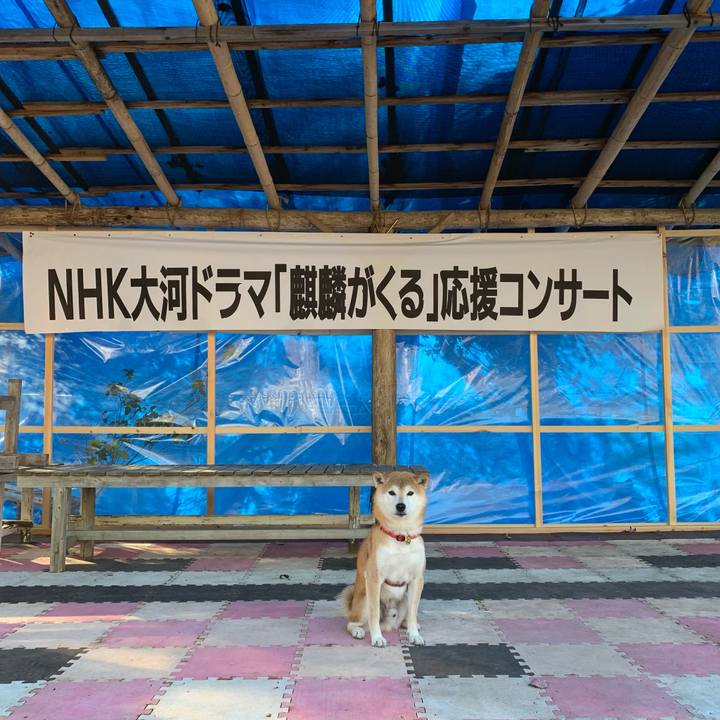 99d1ebe7 313d 4dfd 8b95 571626e9104d 1607422995473