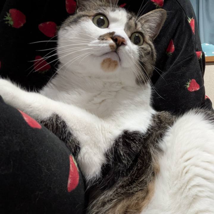 99d1f837 ad07 4892 9ed3 f5ac86a8a8e3 1748434920183