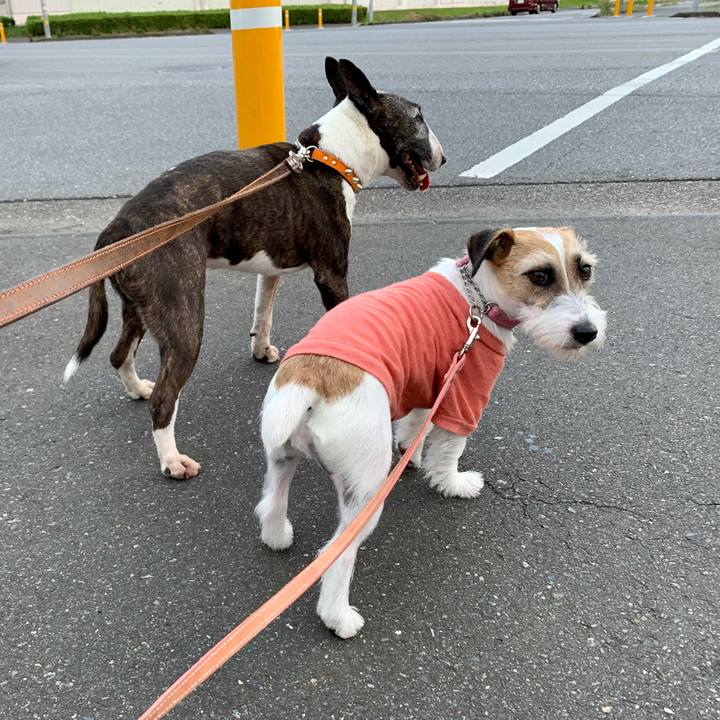 99d21adc 45f7 4ece 9372 24627e76e0e8 1623762337287