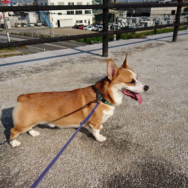 99d25bf9 fc09 42e9 a243 d78137b295e1 1602663645052