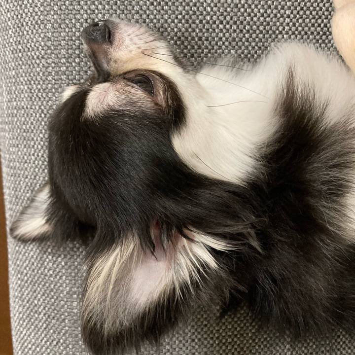 99d266c7 dfec 4085 81ca 0f18e83fc252 1628775589627