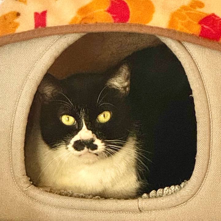 99d283e9 a288 4f6a a73f 62c7429252ba 1736056340432