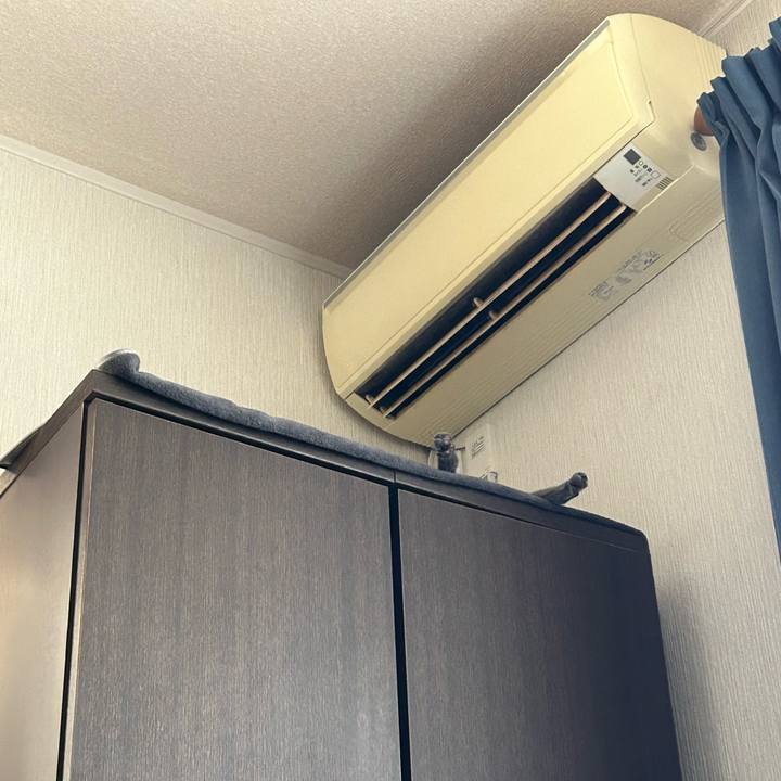 99d2c6c5 07a3 4feb 8470 148fc3d064be 1704507213017