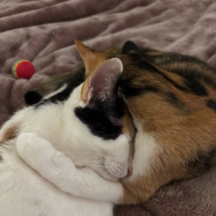 99d2cd30 4952 483c 8d95 ef05523351f8 1769683767019