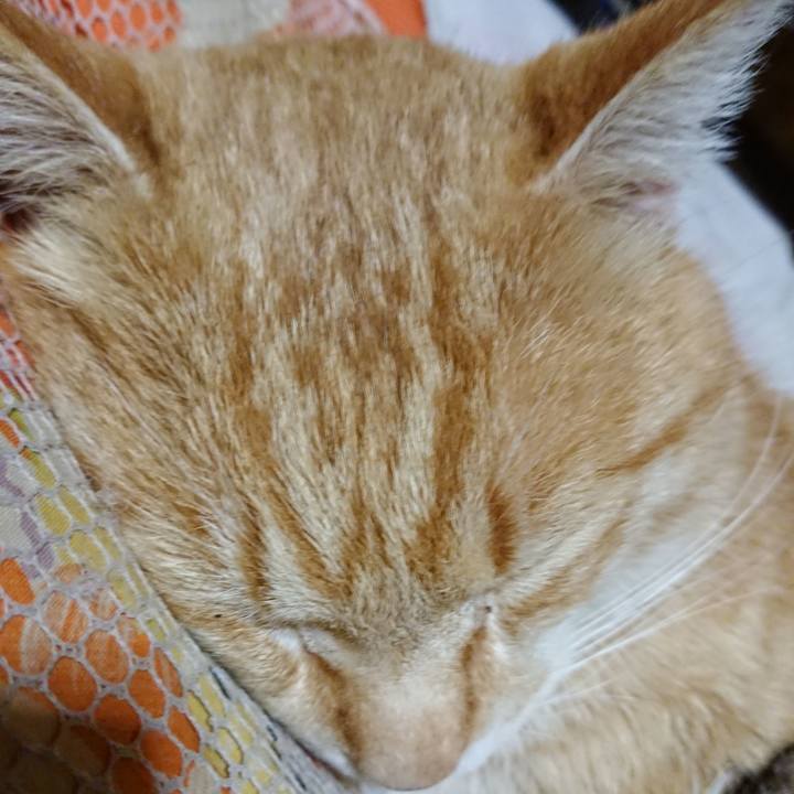 99d31f2a 928c 4d32 a169 aee70c7189f6 1584622453118