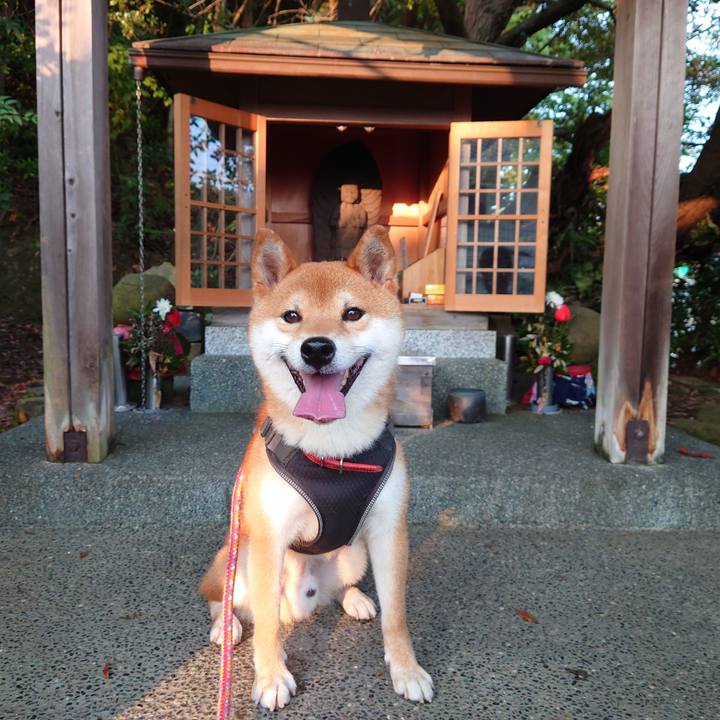 99d3248f e379 47a7 9058 554b41f51805 1756124265685