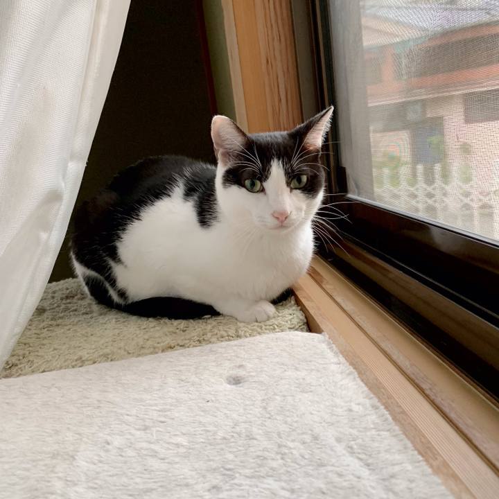 99d33bc2 2883 40fc aff9 b859d2c68ae5 1539827259060