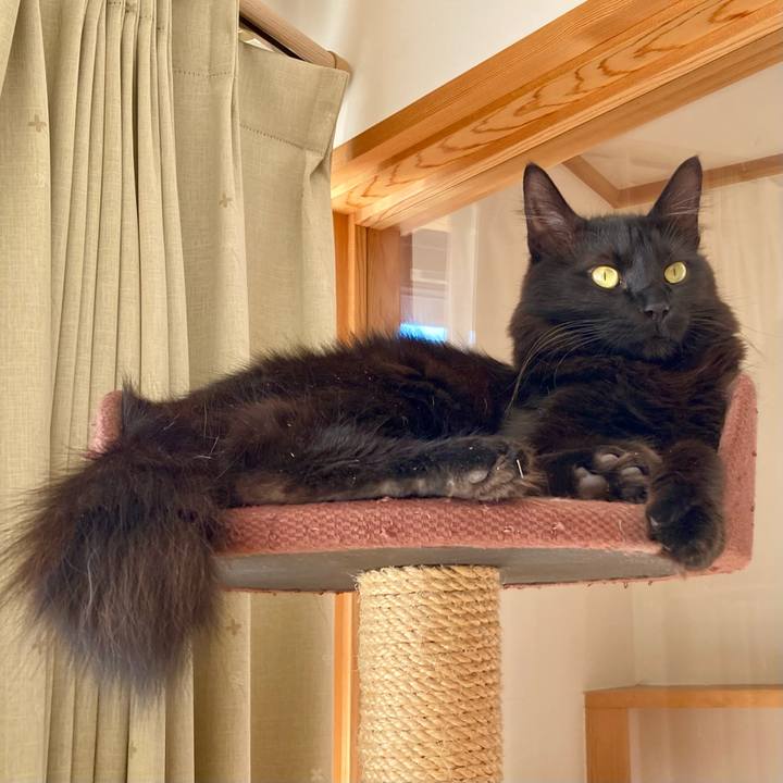 99d3484c 71c8 4b39 ba7b d6fa93f77f97 1736409451061