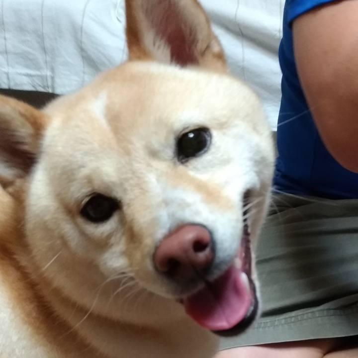 99d43fb0 f5a9 4613 b8bb a2dbfa3e0806 1563704715342